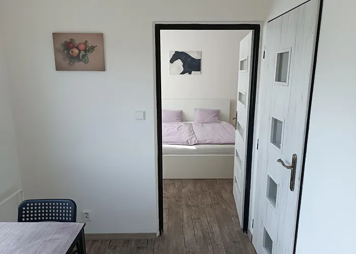 Apartman Broumov